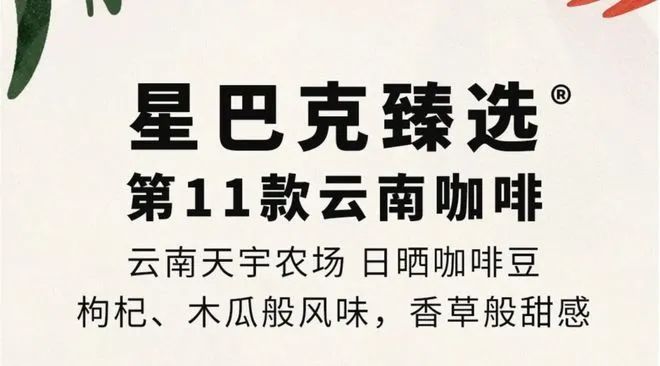 彩云之南的馥郁传奇开元棋牌云南咖啡：(图8)
