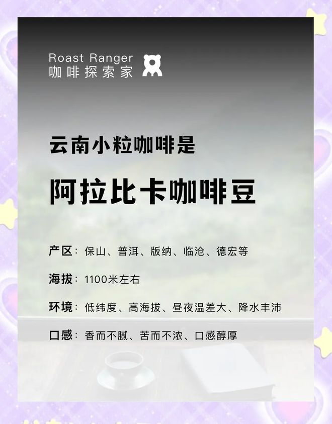 彩云之南的馥郁传奇开元棋牌云南咖啡：(图1)