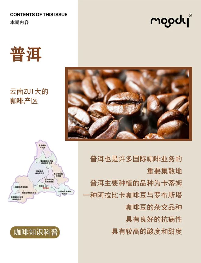 彩云之南的馥郁传奇开元棋牌云南咖啡：(图14)