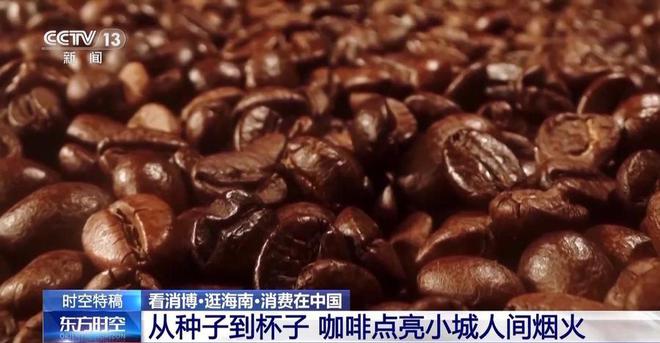 香这是咖啡爱好者的“梦中情地”吧开元棋牌app阳光海浪伴着咖啡(图7)