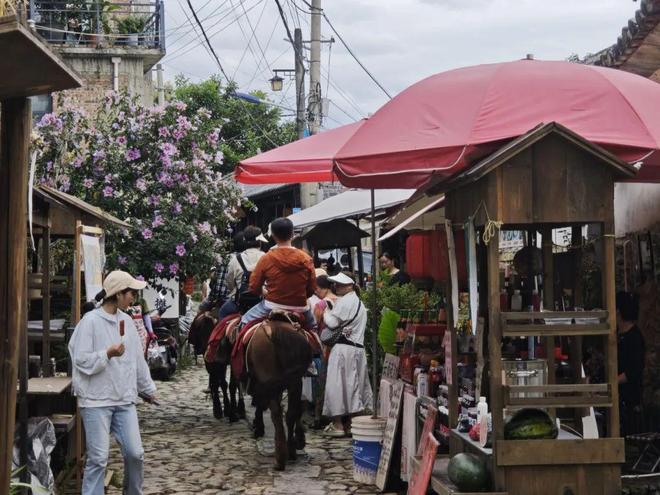 留量”艺术扎根结出“金果子”开元棋牌app凤阳邑流量变“(图4) 留量”艺术扎根结出“金果子”开元棋牌app凤阳邑流量变“(图4)