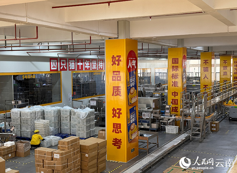 ：从“出山”走向“出圈”开元棋牌app云南咖啡(图1)