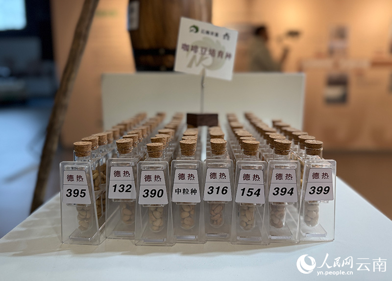 ：从“出山”走向“出圈”开元棋牌app云南咖啡(图2)