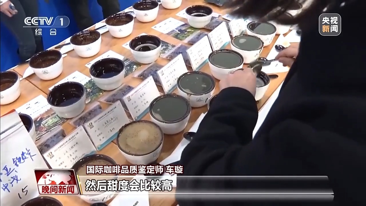 南小粒咖啡走出山乡 勇闯大世界开元棋牌试玩“咖”位满满！云(图1)