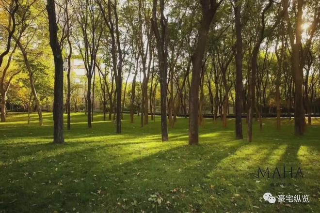 京缦合)网站-楼盘百科-好房开元棋牌缦合北京-售楼处(北(图4)